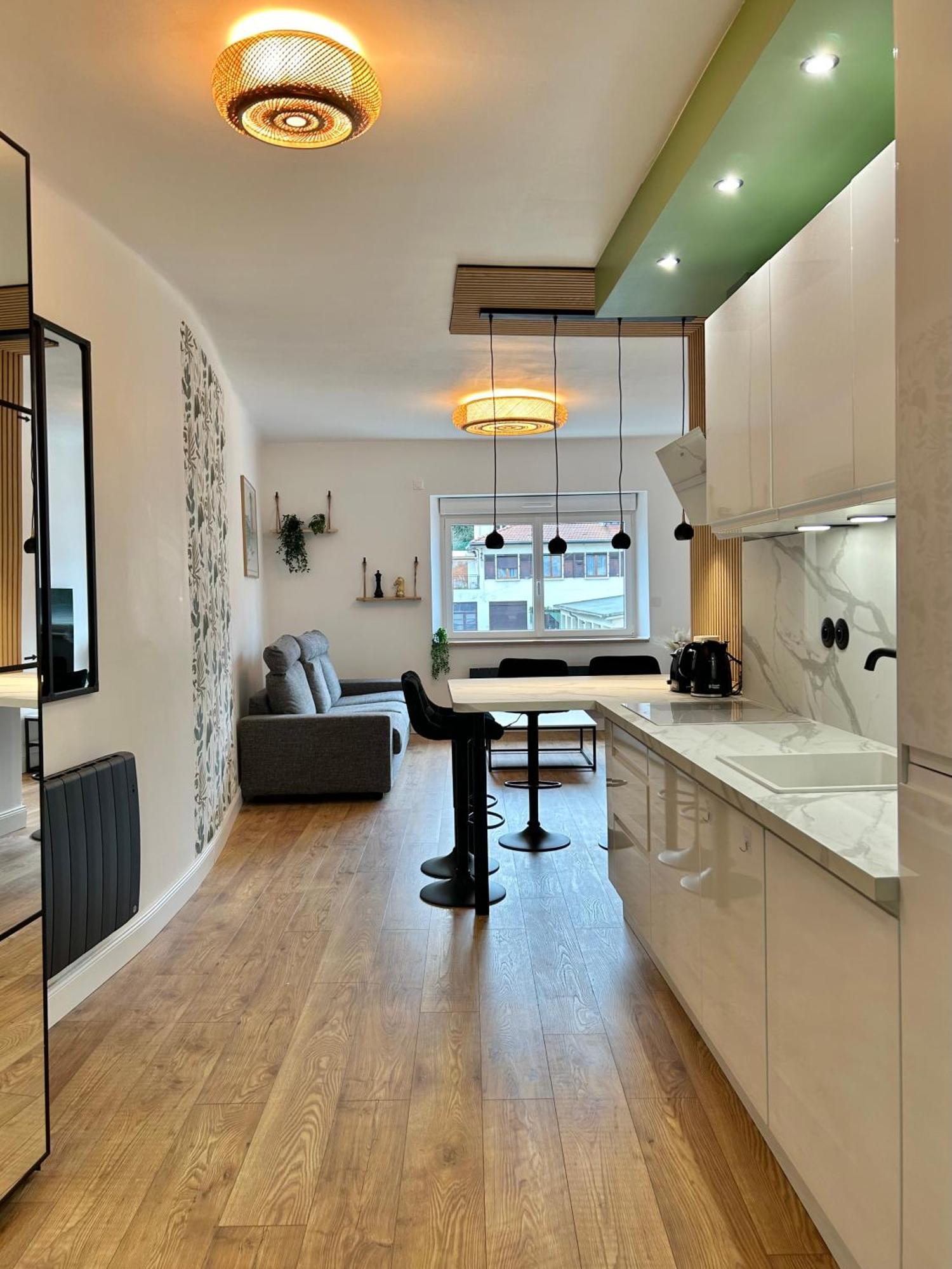 Le Chardon- Appartement 2Chambres- Avec Stationnement Nancy Eksteriør billede